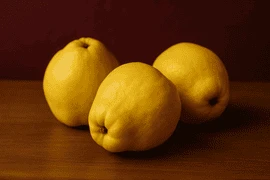 Ayva