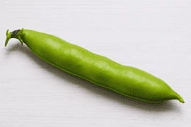 Bakla
