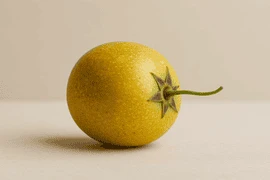 Çarkıfelek