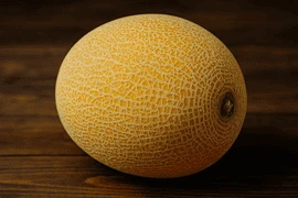 Kavun
