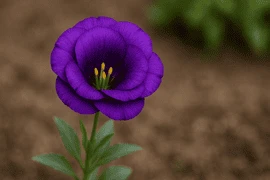 Lezizya
