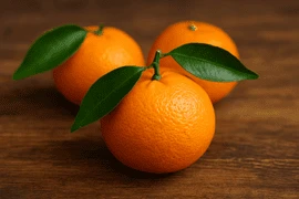 Mandalina