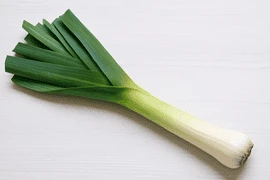 Pırasa