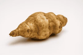 Yer Elması
